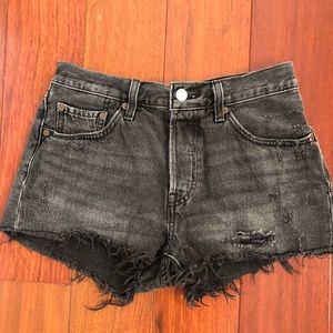 Black Levi shorts.